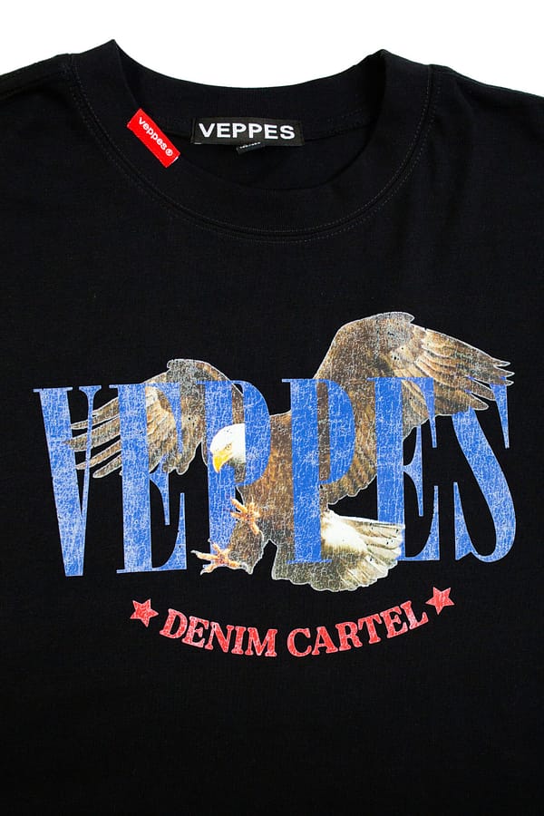 KAI_1750 Landing Eagle