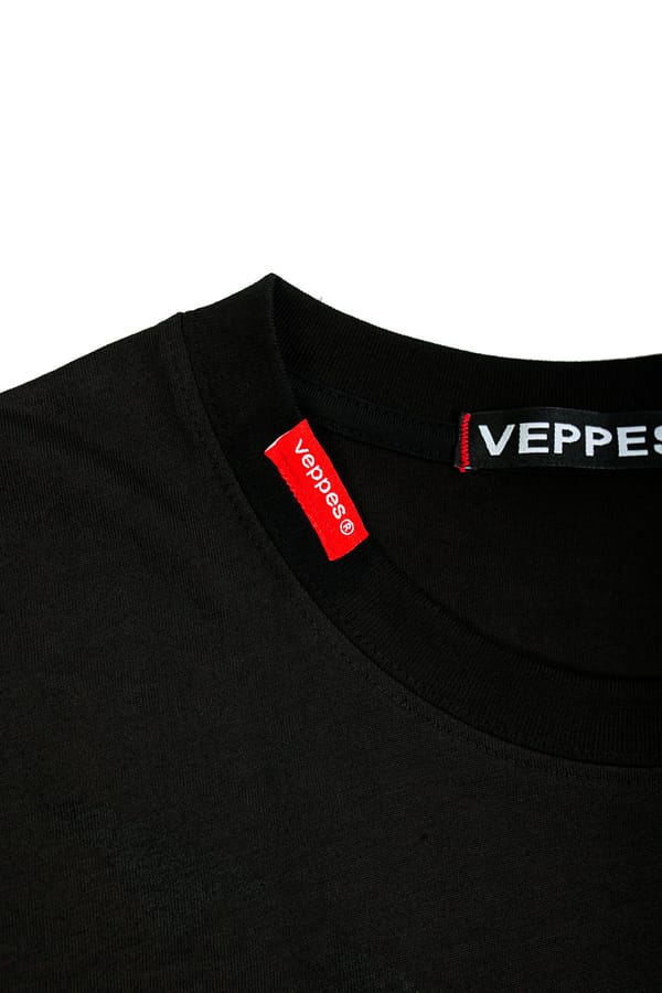 KAI_1771 Landing Eagle